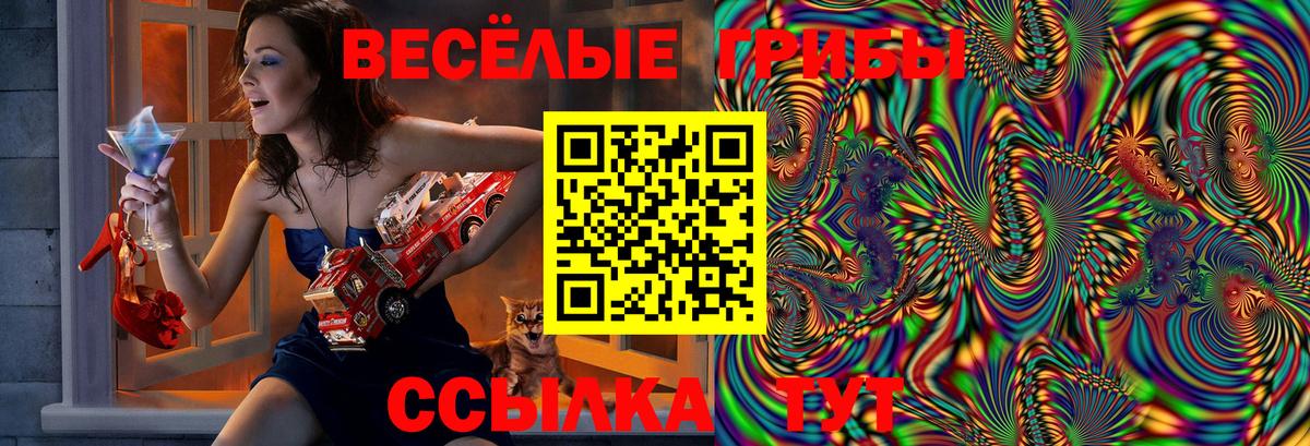 Галлюциногенные грибы Cubensis Новоуральск