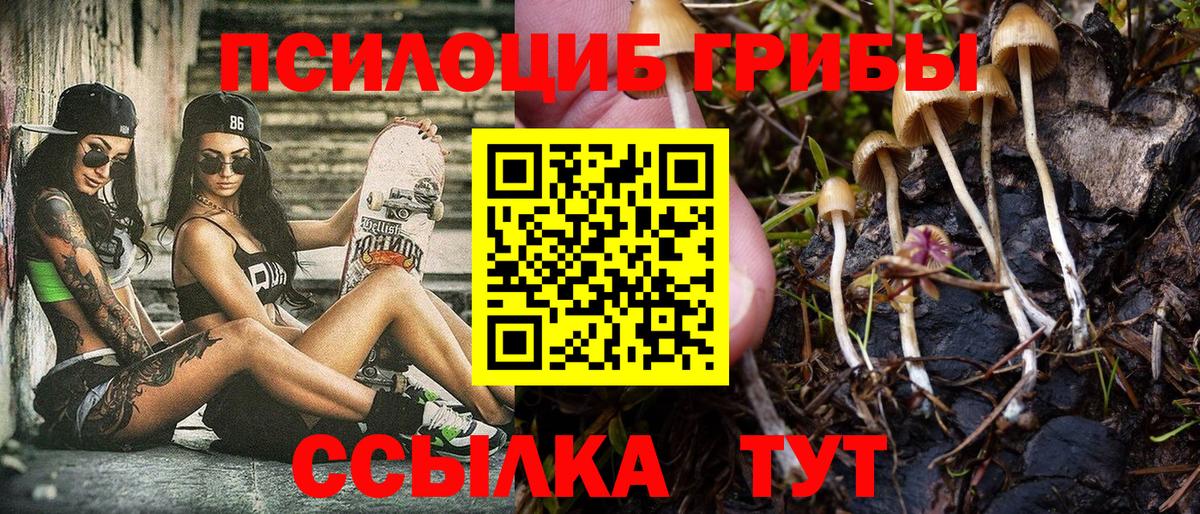 Галлюциногенные грибы GOLDEN TEACHER  Вход с VPN  Новоуральск  Галлюциногенные грибы мухоморы 